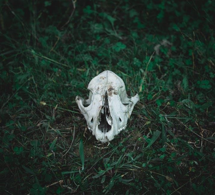 exploring anatomy & physiology in the laboratory 4th edition pdf