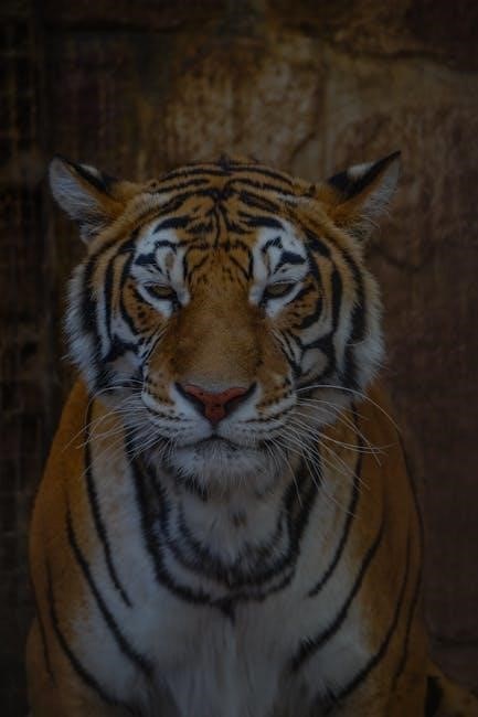 the lady of the tiger pdf